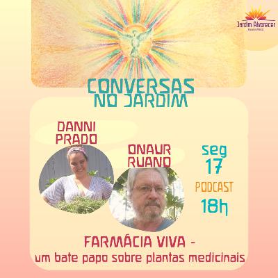 Farmácia Viva - um bate papo sobre plantas medicinais Farmácia Viva - um bate papo sobre plantas medicinais