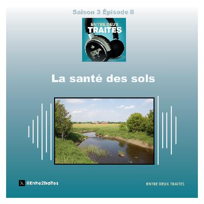 La santé des sols