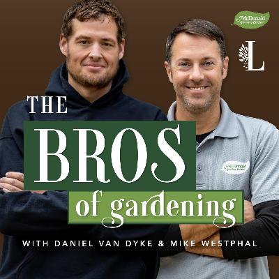 18 - Watering and Irrigation for Your Garden