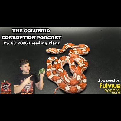 Meteoric Serpents 2026 Breeding Plans - Solo Sunday | The Colubrid Corruption Podcast | Ep. 83 Meteoric Serpents 2026 Breeding Plans - Solo Sunday | The Colubrid Corruption Podcast | Ep. 83
