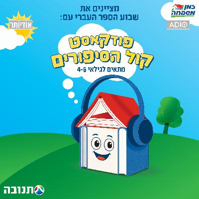 לגדול - כדורגל על הגג - סיון רהב־מאיר