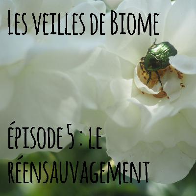 Les veilles de Biome - épisode 5 : Le réensauvagement