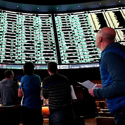 A Year as a Degenerate Sports Gambler A Year as a Degenerate Sports Gambler