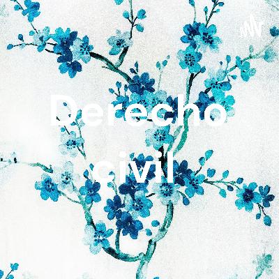 Derecho civil, palabras de uso frecuente en las leyes y conceptos generales sobre la persona.