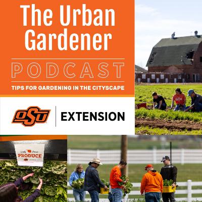 Episode 41: Cultivating Community Gardens