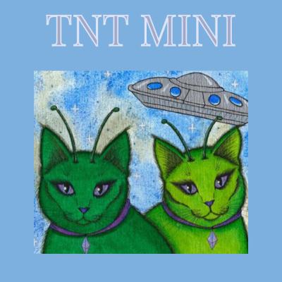 TNT MINI - Nicki Minaj