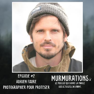 Adrien Favre - Photographier pour protéger / MURMURATIONS LE PODCAST QUI DONNE LA PAROLE AUX ACTIVISTES DU VIVANT Adrien Favre - Photographier pour protéger / MURMURATIONS LE PODCAST QUI DONNE LA PAROLE AUX ACTIVISTES DU VIVANT