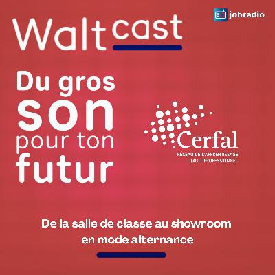 Waltcast 3 : De la salle de classe au showroom en mode alternance