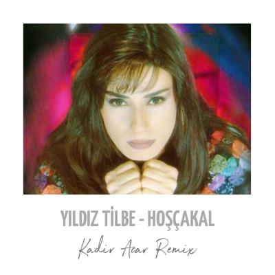Yıldız Tilbe - Hoşçakal (Kadir ACAR Remix )