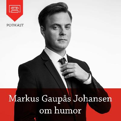 Markus Gaupås Johansen om humor