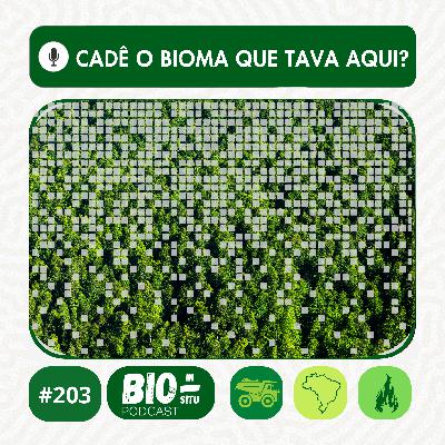 203 - Cadê o bioma que tava aqui? 203 - Cadê o bioma que tava aqui?