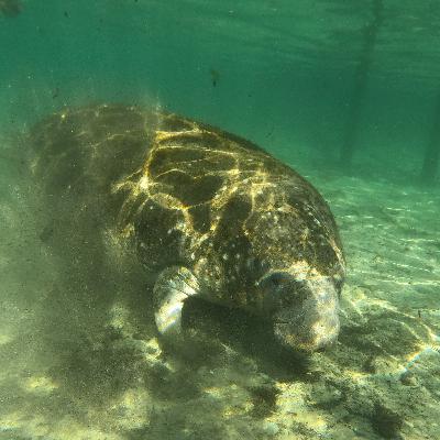 Angler Girls give lowdown on best-kept secret in Florida Angler Girls give lowdown on best-kept secret in Florida