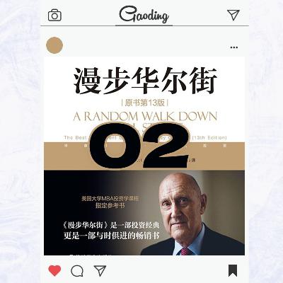 《漫步华尔街》第二章深度解析：郁金香、南海公司与华尔街溃败