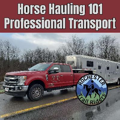 14: Horse Hauling 101 with Second Wind Stable Transport 14: Horse Hauling 101 with Second Wind Stable Transport