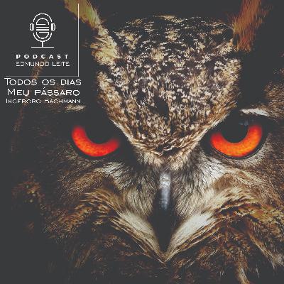 Todos os dias / Meu pássaro (Ingeborg Bachmann) Todos os dias / Meu pássaro (Ingeborg Bachmann)