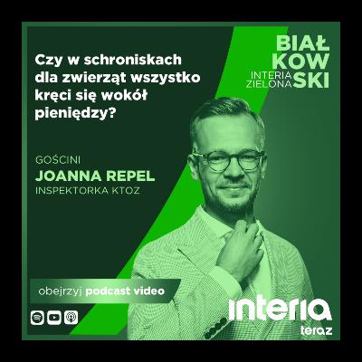 Komu opłaca się utrzymywanie schronisk?