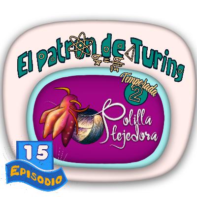 Podcast - El patrón de Turing - Mucho significado... / Invitaciones y sorpresas / 2021... te queda menos