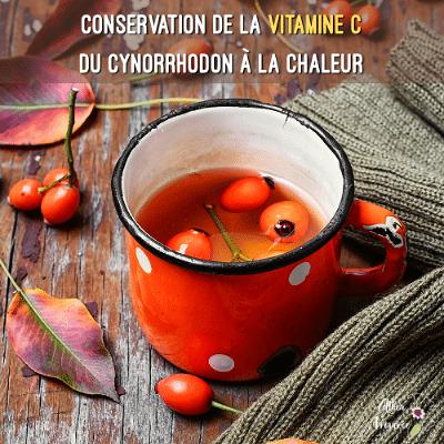 Conservation de la vitamine C du cynorrhodon à la chaleur