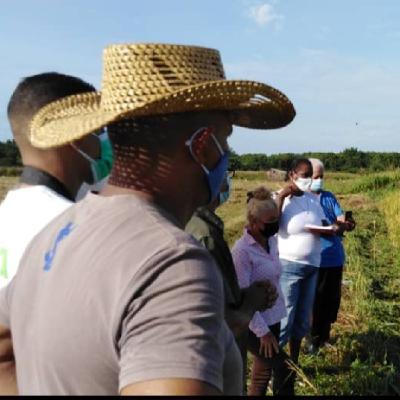Cuba fortalece su soberanía alimentaria con ciencia e innovación Cuba fortalece su soberanía alimentaria con ciencia e innovación