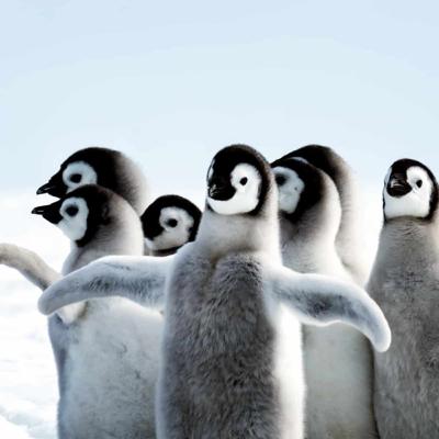 Episode of Weird Food History!