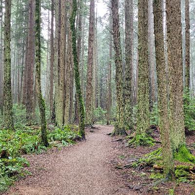 Self-Regulating in the Unknown: Trusting When Nothing Feels Certain