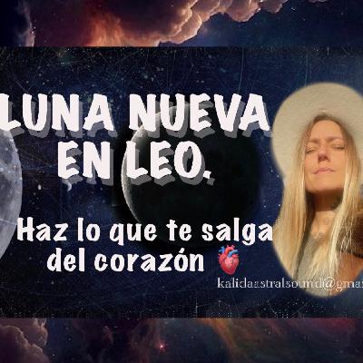 ✨LUNA NUEVA EN LEO♥️ ✨LUNA NUEVA EN LEO♥️