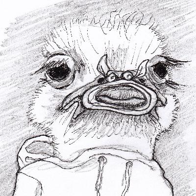 7. Dezember 7. Dezember