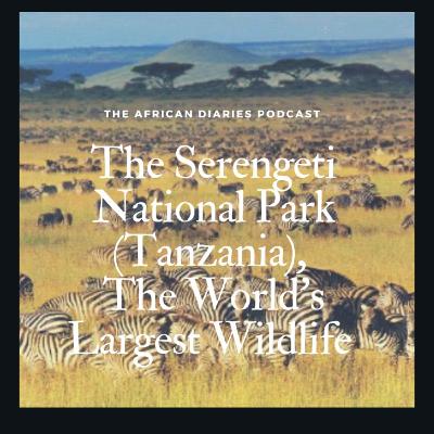 The Serengeti National Park (Tanzania) The Serengeti National Park (Tanzania)
