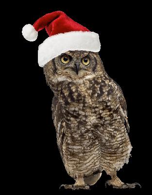 Cine Wildlife - Natale con i tuoi, il podcast con chi vuoi Cine Wildlife - Natale con i tuoi, il podcast con chi vuoi