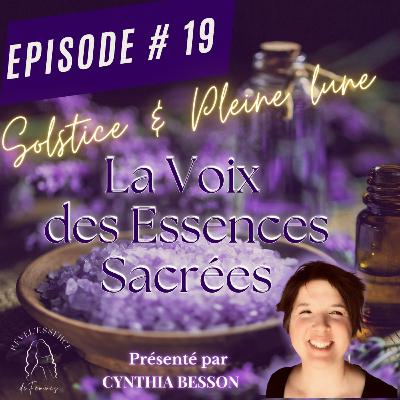 Solstice & Pleine Lune: Remettre sa Couronne EP 19 Solstice & Pleine Lune: Remettre sa Couronne EP 19