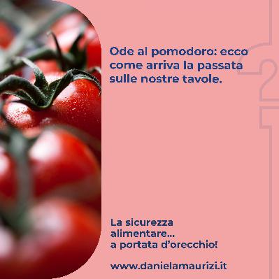 ST4_Ep.32 - Ode al pomodoro: ecco come arriva la passata sulle nostre tavole