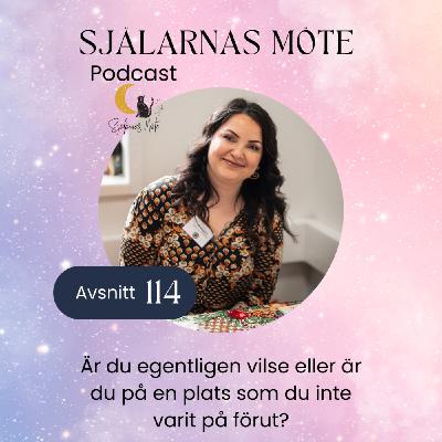 114. Är du vilse eller är du på en plats som du inte varit på förut? 114. Är du vilse eller är du på en plats som du inte varit på förut?