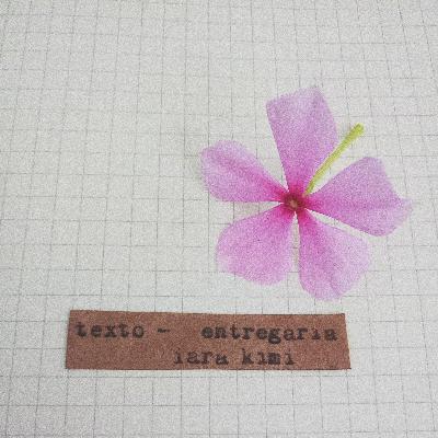 texto - entregaria