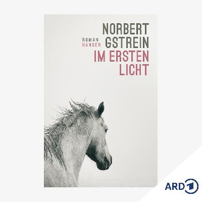 Neue Bücher: "Im ersten Licht" von Norbert Gstrein Neue Bücher: "Im ersten Licht" von Norbert Gstrein