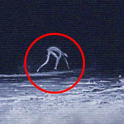 10 Videos de Terror Real en los MONTES APALACHES