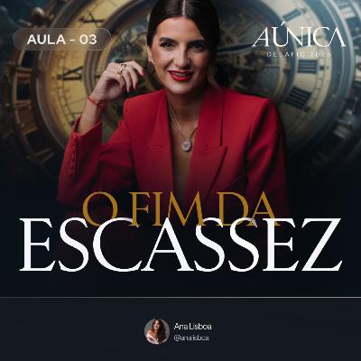 Aula 3 - O fim da escassez