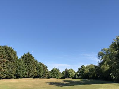 Ep. 36 – Shaun in Trent Park