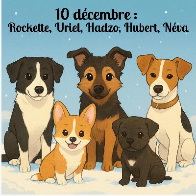 10 décembre - Hadzo, Ubert, Rockette, Uriel et Neva