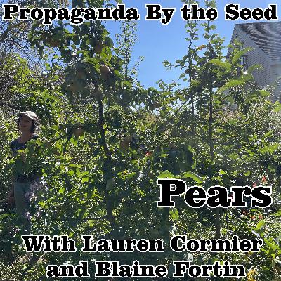 Pears with Lauren Cormier and Blaine Fortin