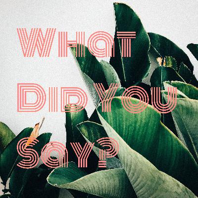 What Did You Say? (Trailer)