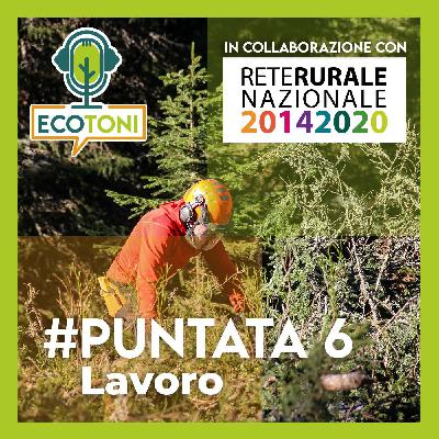 Puntata 6 - Lavoro