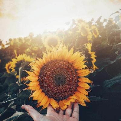 #3 Une journée sans stress