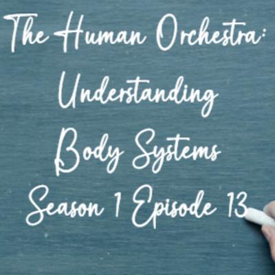 The Human Orchestra: Understanding Body Systems
