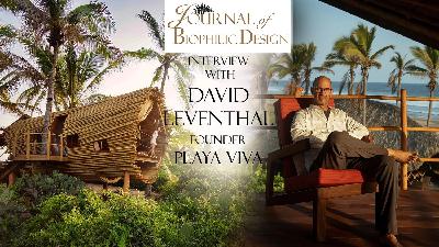 Playa Viva - where Biophilia meets Living Ecology