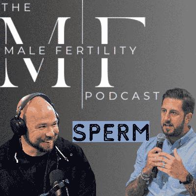Male Fertility & Sperm Diagnosis | Christmas Countdown 🎄 Day 16 Male Fertility & Sperm Diagnosis | Christmas Countdown 🎄 Day 16