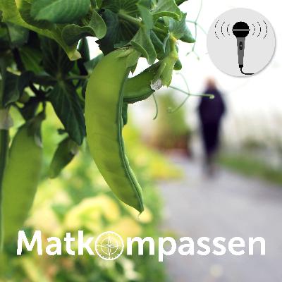Matkompassen möter! Poddserie om lokalproducerad mat. Del 6.
