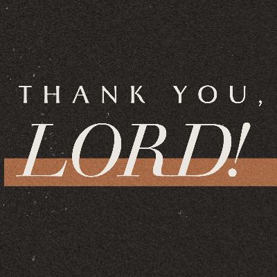 The Power of Gratitude
