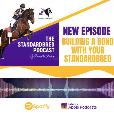 Building a Bond with your Standardbred