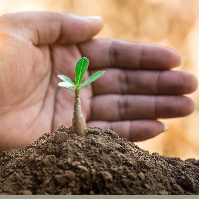 Learn five specific ways you could protect and grow your retirement savings Learn five specific ways you could protect and grow your retirement savings