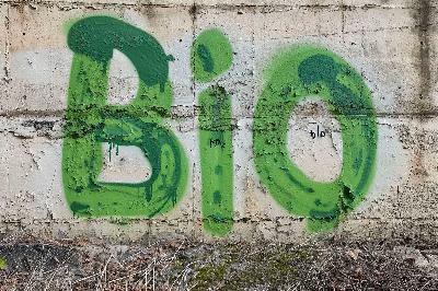 Není zelená jako zelená